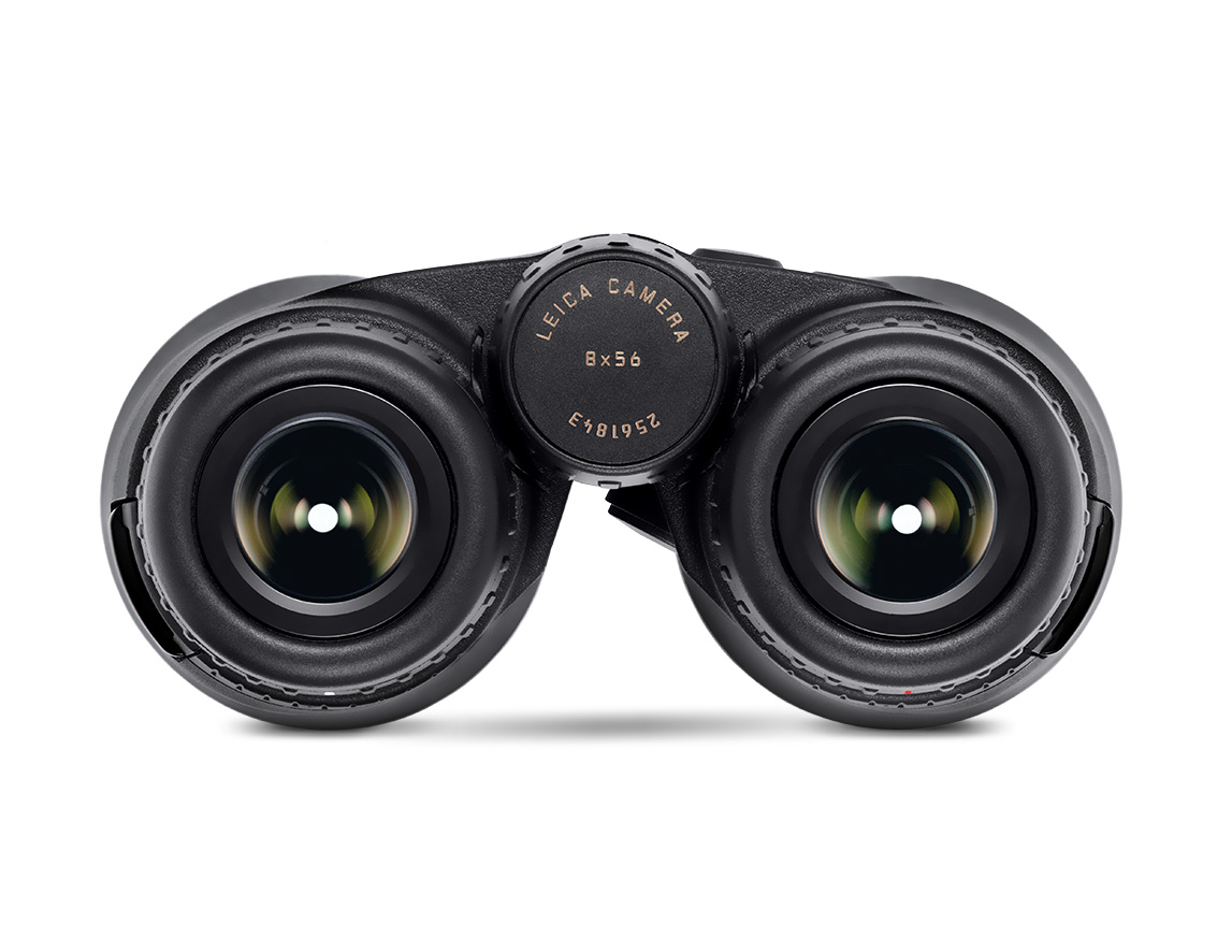 Leica Geovid 8x56 R Fernglas mit Entfernungsmesser (Meter-Version)
